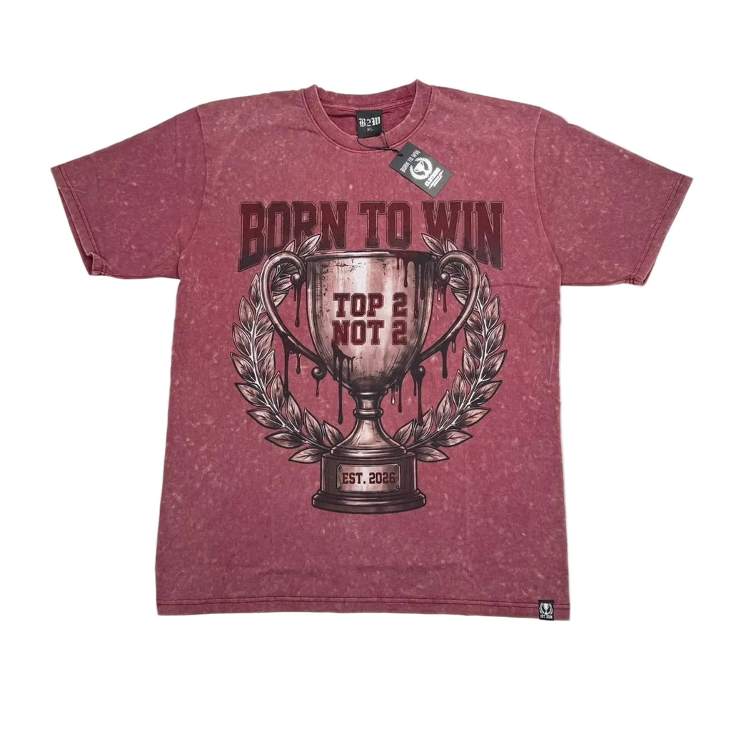 Top 2 Washed trophy Tee