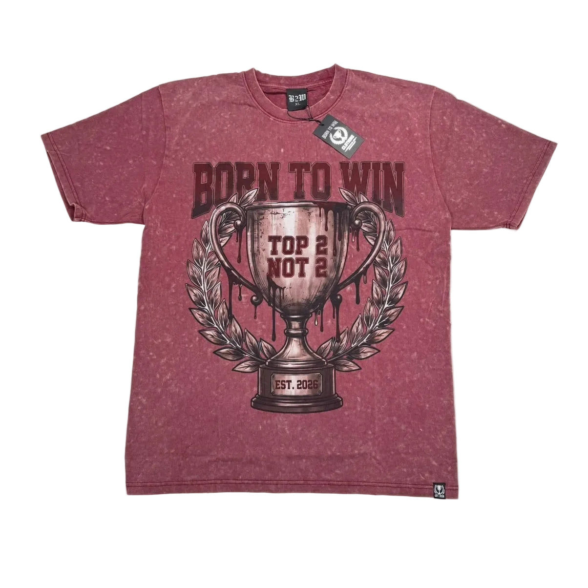 Top 2 Washed trophy Tee